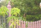 Banora Point NSWplant-nursery-6.jpg; ?>